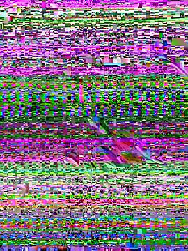 pau1920g online show from December 2025 08:14:01 PM