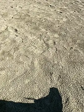 Snapshot of ratemydickbabe chatting on December 2025 09:36:02 AM ratemydickbabe online show from December 2025 09:36:02 AM