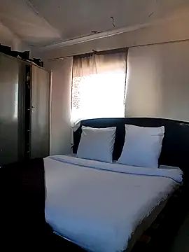 SeasonalCanvas138 online show from December 2025 01:53:01 PM