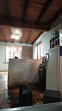 ChanneldelaCroix online show from February 2026 07:25:02 PM