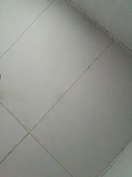 Snapshot of losangelesaid chatting on December 2025 12:47:01 PM losangelesaid online show from December 2025 12:47:01 PM