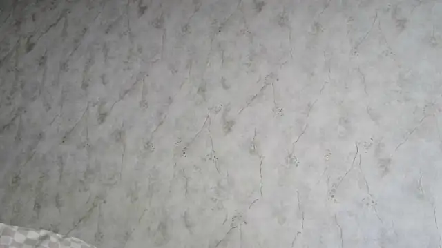 Snapshot of AliceWonderLure chatting on December 2025 09:18:02 AM AliceWonderLure online show from December 2025 09:18:02 AM