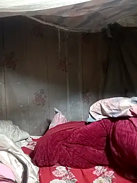 ava-dellght online show from January 2026 01:55:02 AM