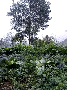 Snapshot of sary-hot2x chatting on February 2026 10:46:01 AM sary-hot2x online show from February 2026 10:46:01 AM