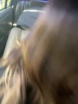 loxzjr online show from January 2026 06:13:01 PM