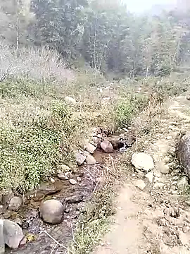 neko-nancy online show from January 2026 02:50:02 AM