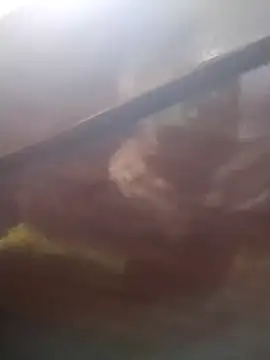 neko-nancy online show from February 2026 02:24:02 PM