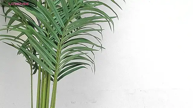 Snapshot of sebastamayo_ chatting on January 2026 08:54:02 PM sebastamayo online show from January 2026 08:54:02 PM