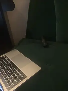 Snapshot of RedPepper- chatting on February 2026 05:50:01 PM RedPepper- online show from February 2026 05:50:01 PM