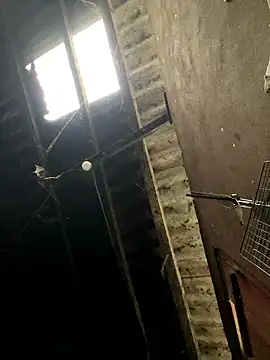 Nika-be online show from January 2026 01:54:02 AM