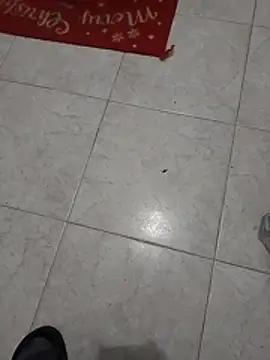 Mar81 online show from January 2026 06:07:01 AM