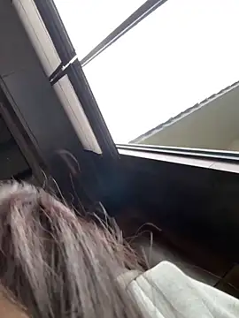 qingqing-ss online show from January 2026 02:48:02 AM