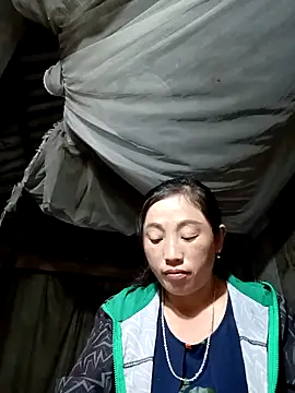 seacyre online show from December 2025 11:40:02 AM