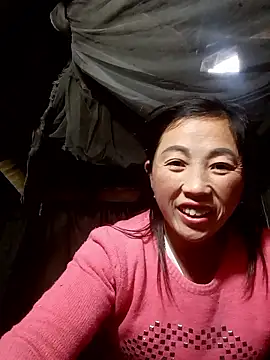 seacyre online show from January 2026 01:08:01 AM