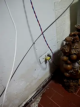 Snapshot of thobaby99 chatting on January 2026 07:55:01 AM thobaby99 online show from January 2026 07:55:01 AM