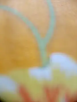 Hooghlypinkivabi online show from February 2026 02:28:01 PM