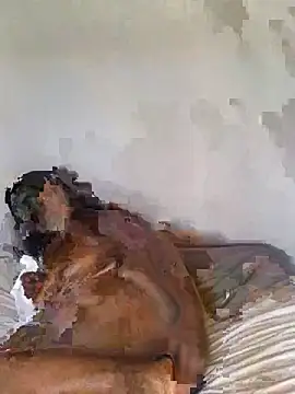 babepear online show from February 2026 06:34:02 AM