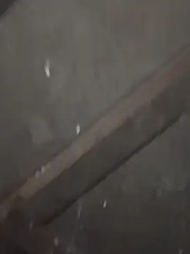 daksh  8 inche online show from February 2026 10:04:02 PM