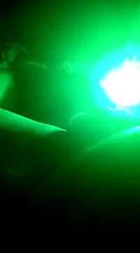 Robikabig20 online show from January 2025 03:58:01 AM