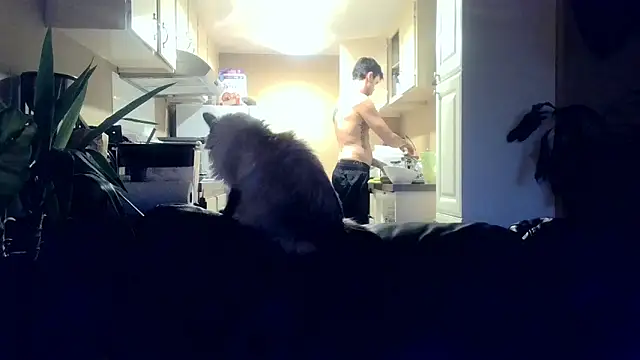 skateboardskate online show from January 2026 12:14:02 AM