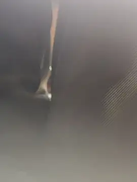 Snapshot of Cupalshow123 chatting on January 2026 11:14:01 AM Cupalshow123 online show from January 2026 11:14:01 AM