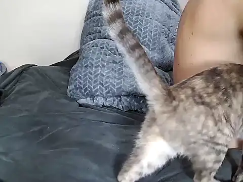 chris aitrix online show from January 2026 10:45:01 PM