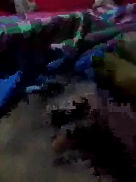 wasalasa online show from January 2026 06:55:02 PM