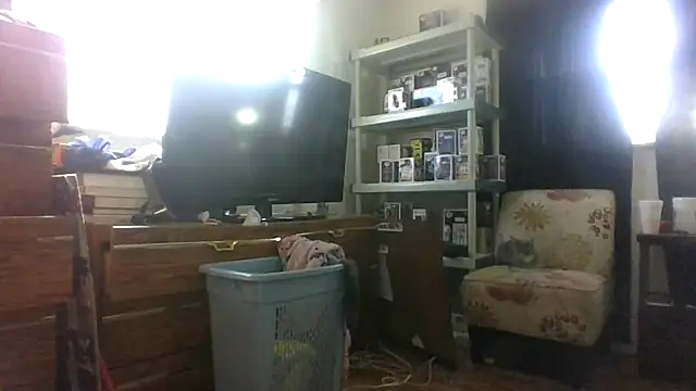 AcademicHuman67 online show from February 2026 04:00:02 PM