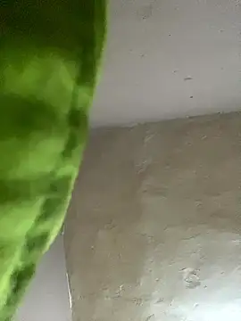 kwandero1234 online show from January 2026 07:41:01 PM