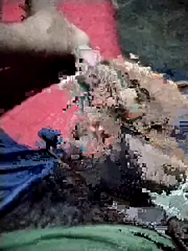 Snapshot of Danu2005dsa chatting on February 2026 06:04:02 PM Danu2005dsa online show from February 2026 06:04:02 PM