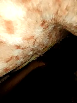 Snapshot of rohit16770 chatting on January 2026 07:06:02 PM rohit16770 online show from January 2026 07:06:02 PM