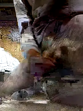 ifuckforreal online show from February 2026 05:16:01 PM