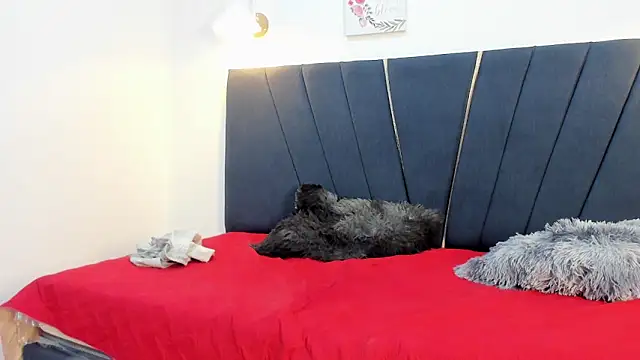 David cum18 online show from January 2026 10:24:01 PM