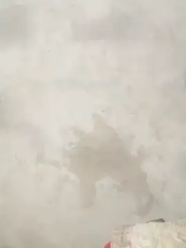 Savi-cute online show from February 2026 12:33:02 AM