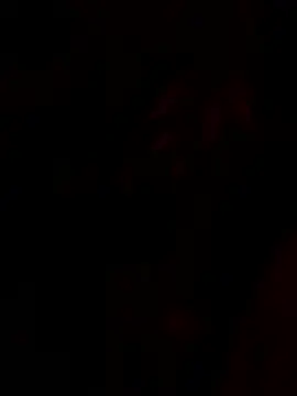 tropicalpied online show from January 2026 04:38:02 AM