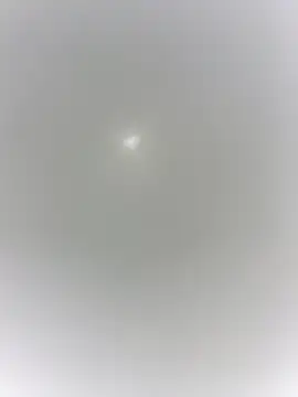 sharck12 35 online show from January 2026 11:14:02 AM