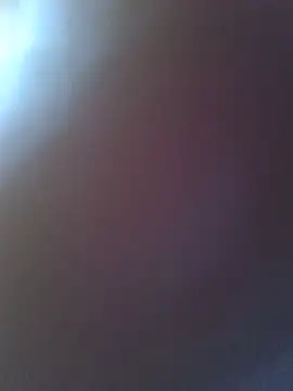 ahsssex2026 online show from May 2026 11:31:02 AM