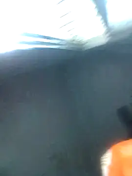 Snapshot of knightqueen12 chatting on February 2026 08:46:02 AM knightqueen12 online show from February 2026 08:46:02 AM