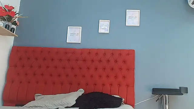 sofia laverde online show from February 2026 07:09:02 PM