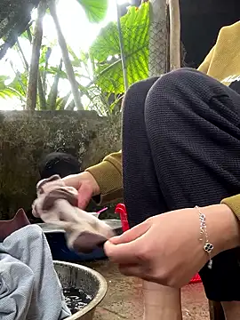  luna 2k online show from January 2026 03:10:02 AM