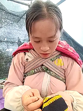 Hari-saka online show from February 2026 02:40:02 AM