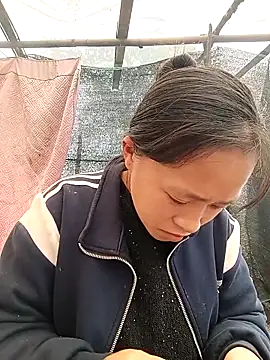 Hari-saka online show from March 2026 06:28:01 AM