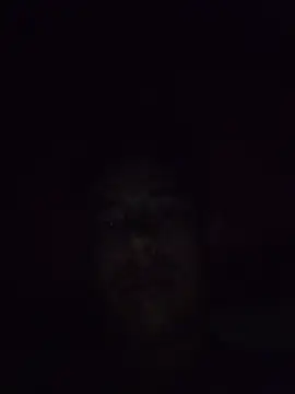 Cz Drax online show from May 2026 06:21:03 AM