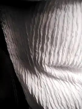 Snapshot of RosseLaure chatting on February 2026 07:56:01 PM RosseLaure online show from February 2026 07:56:01 PM