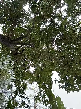 IceMur online show from February 2026 03:04:02 AM