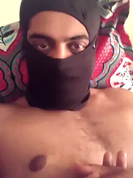 Northiemallu online show from February 2026 09:50:02 AM