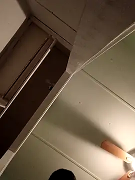 Snapshot of JoshingExegesis chatting on March 2026 04:14:01 AM JoshingExegesis online show from March 2026 04:14:01 AM