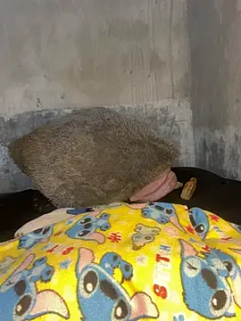 Iam AlexandraRey online show from February 2026 07:51:01 AM