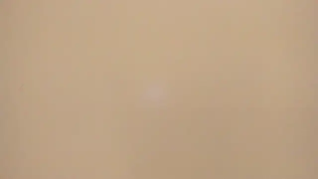 Snapshot of Melanie__Evans chatting on May 2026 10:56:02 AM Melanie Evans online show from May 2026 10:56:02 AM