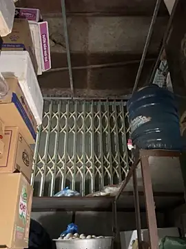 YANINA120 online show from March 2026 10:50:02 AM